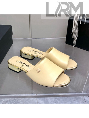 Chanel Leather Slide Sandals Beige 2022 26