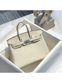 Hermes Birkin 25cm Bag in Togo Calfskin White/Silver 2022