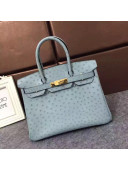 Hermes Ostrich Leather Birkin 30/35cm Bag Pale Blue