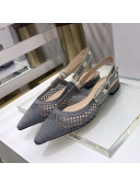 Dior J'Adior Slingback Ballerina Flat in Grey Mesh Embroidery 2021