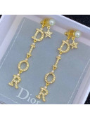 Dior Dio(r)evolution Crystal Lettering Long Earrings 2020