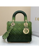 Dior Medium Lady Dior Bag in Green Gradient Cannage Lambskin 2021