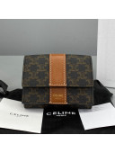 Celine Triomphe Small Wallet Brown 2021 60028