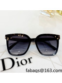 Dior Nuance Sunglasses 2022 85