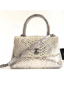 Chanel Python Leather Coco Handle Mini Bag Gray 2018