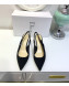 Dior Strassy Suede Crystal Slingback Heel Pump Black 2019