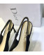 Dior Strassy Suede Crystal Slingback Heel Pump Black 2019