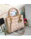 Dior Lady Dior Medium Bag in Cannage Lambskin Light Pink/Gold 2019