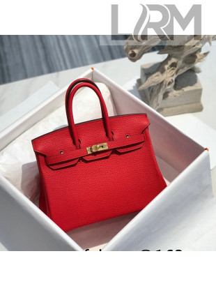 Hermes Birkin 25cm Bag in Togo Calfskin Red/Gold 2022