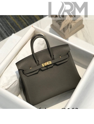 Hermes Birkin 25cm Bag in Togo Calfskin Tinware Grey/Gold 2022