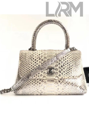 Chanel Python Leather Coco Handle Mini Bag Gray 2018