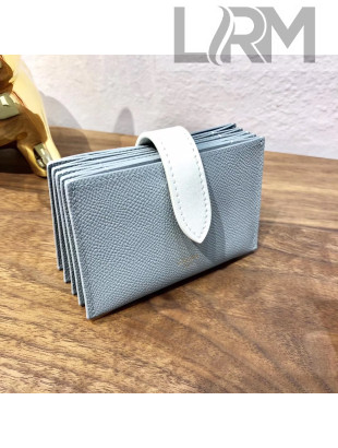 Celine Accordeon Card Holder in Grained Calfskin Light Grey/White 2020