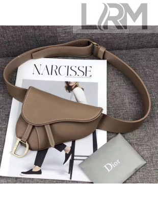 Dior Saddle Belt Bag in Smooth Calfskin Brown 2019