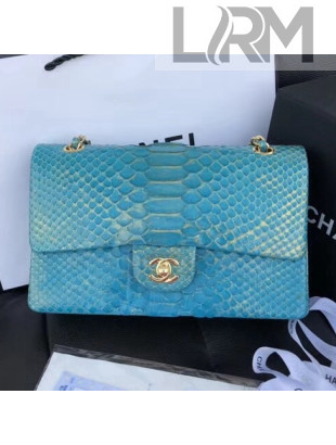 Chanel Python Leather Medium Classic Double Flap Bag 4