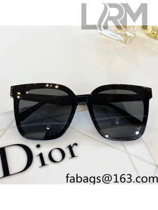 Dior Nuance Sunglasses 2022 86