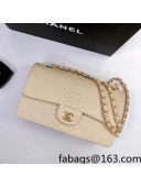 Chanel Pythonskin Embossed Leather Medium Calssic Flap Bag A01112 Nude 2022 02