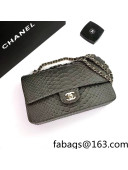 Chanel Pythonskin Embossed Leather Medium Calssic Flap Bag A01112 Dark Green 2022 05