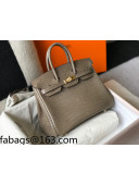 Hermes Birkin 25cm Bag in Crocodile Embossed Calf Leather Grey/Gold 2021 