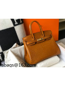 Hermes Birkin 30cm Bag in Crocodile Embossed Calf Leather Golden Brown/Gold 2021 