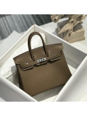 Hermes Birkin 25cm Bag in Togo Calfskin JEtoupe Elephant Grey/Silver 2022