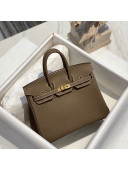 Hermes Birkin 25cm Bag in Togo Calfskin Etoupe Elephant Grey/Gold 2022