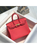 Hermes Birkin 25cm Bag in Togo Calfskin Rose Lipstick Pink/Gold 2022