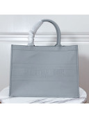 Dior Small Book Tote in Grey Calfskin 2020