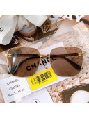 Chanel Sunglasses CH0743 2022 05