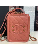 Chanel Grained Calfskin Long Vanity Case Top Handle Bag AS0988 Pink 2019