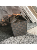 Celine Strap Box Mini Bag in Triomphe Canvas and Calfskin Brown 2021