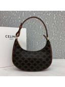 Celine Ava Hobo Bag in Triomphe Canvas Brown 2021