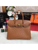 Hermes Ostrich Leather Birkin 30/35cm Bag Brown