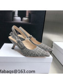 Dior J'Adior Slingback Pumps 6.5cm in Grey Crocodile-Effect Embroidered Velvet 2021