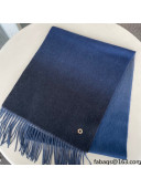 Loro Piana Cashmere Long Scarf LS09 2021