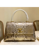 Chanel Python & Lambskin Leather Small Flap Bag With Top Handle A93050 Grey/Gold 02 2020