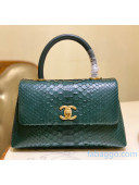 Chanel Python & Lambskin Leather Flap Bag With Top Handle A93050 Green 2020