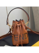 Fendi Mon Tresor Mini Bucket Bag in Brown Logo Leather 2020