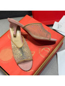 Christian Louboutin Studded Mesh Mules 5.5cm Pink 2021