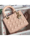 Dior Medium Lady Dior Bag In Pale Pink Lambskin 2018(Gold-tone Metal)