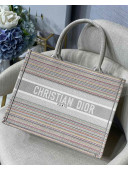 Dior Small Book Tote Bag in Multicolor Stripes Embroidery 2021