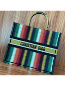 Dior Large Book Tote Bag in Multicolor D-Stripes Embroidery 2021