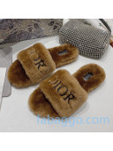 Dior Wool Logo Flat Slide Sandal Coffee Brown 2020