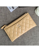 Chanel Iridescent Grained Calfskin Pouch Beige 2019