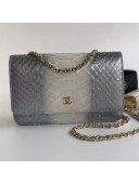 Chanel Python Leather Wallet On Chain WOC Bag Metallic/Grey 2018