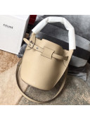 Celine Big Bag Nano Bucket Bag in Grained Calfskin Beige 2019