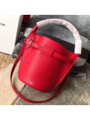 Celine Big Bag Nano Bucket Bag in Grained Calfskin Red 2019