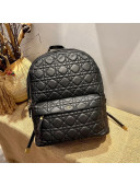 Dior Large Backpack in Black Cannage Lambskin 2021