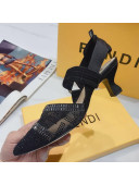 Fendi Colibrì Crystal Mesh Mid-Heel Slingback Pumps All Black 2020