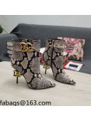 Dolce & Gabbana DG Snakeskin Print Leather Ankle Short Boots 10.5cm Grey 2021 