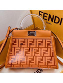 Fendi FF Transparent Peekaboo Mini Top Handle Bag Orange 2019